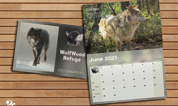 Animal Refuge Calendar Design
