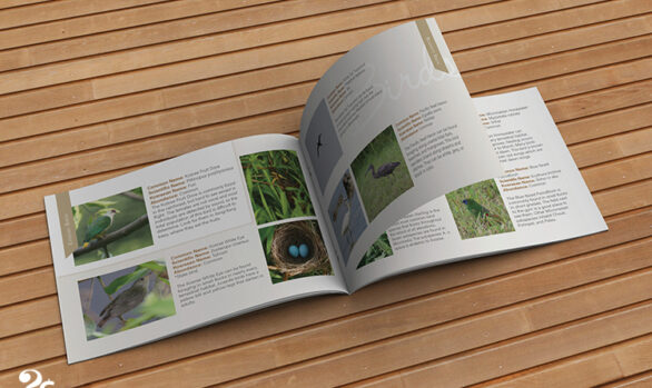 Wildlife Birds Landscape Booklet Design 2